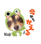 Kojiromaru＆Jubee5（個別スタンプ：23）