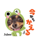 Kojiromaru＆Jubee5（個別スタンプ：24）
