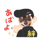Kojiromaru＆Jubee5（個別スタンプ：33）