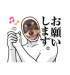 Kojiromaru＆Jubee5（個別スタンプ：35）