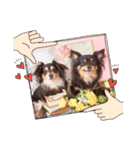 Kojiromaru＆Jubee5（個別スタンプ：39）