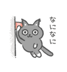 仲良し黒猫と白猫 日本語版（個別スタンプ：37）