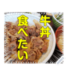 【丼】どんぶり飯☆自由メッセージ（個別スタンプ：1）