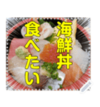 【丼】どんぶり飯☆自由メッセージ（個別スタンプ：6）