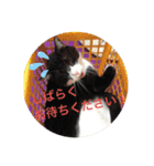 【限定】ysさんfamily（個別スタンプ：6）