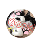 【限定】ysさんfamily（個別スタンプ：9）