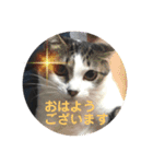 【限定】ysさんfamily（個別スタンプ：14）