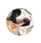【限定】ysさんfamily（個別スタンプ：17）