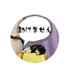 【限定】ysさんfamily（個別スタンプ：24）