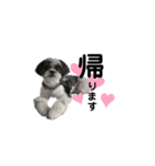 ...Milk...（個別スタンプ：1）
