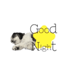 ...Milk...（個別スタンプ：10）