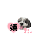 ...Milk...（個別スタンプ：14）