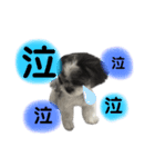 ...Milk...（個別スタンプ：15）