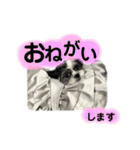 ...Milk...（個別スタンプ：22）
