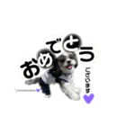 ...Milk...（個別スタンプ：23）