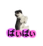 ...Milk...（個別スタンプ：25）