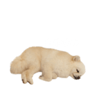 4歳のべび（個別スタンプ：7）