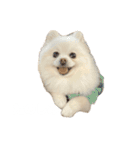 4歳のべび（個別スタンプ：13）