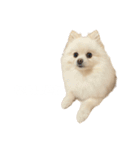 4歳のべび（個別スタンプ：14）