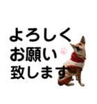 ずーきーときなちゃん(お仕事編)（個別スタンプ：4）