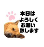 ずーきーときなちゃん(お仕事編)（個別スタンプ：11）
