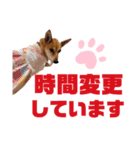 ずーきーときなちゃん(お仕事編)（個別スタンプ：14）