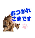 ずーきーときなちゃん(お仕事編)（個別スタンプ：16）