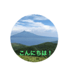 kinko 夏バージョン1（個別スタンプ：5）