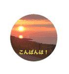 kinko 夏バージョン1（個別スタンプ：7）