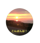 kinko 夏バージョン1（個別スタンプ：9）