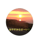 kinko 夏バージョン1（個別スタンプ：10）