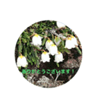 kinko 夏バージョン1（個別スタンプ：19）