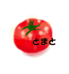 リアル野菜①（個別スタンプ：1）