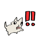 ガンギマリチワワ（個別スタンプ：8）
