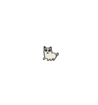 ガンギマリチワワ（個別スタンプ：10）