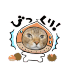 にゃんこラムちゃん❷（個別スタンプ：11）