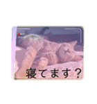 にゃんこラムちゃん❷（個別スタンプ：22）