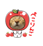 にゃんこラムちゃん❷（個別スタンプ：23）