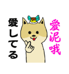 可愛いポメラニアン犬プリン-日常生活（個別スタンプ：4）