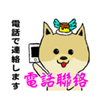 可愛いポメラニアン犬プリン-日常生活（個別スタンプ：11）