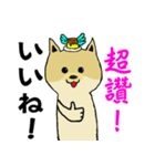 可愛いポメラニアン犬プリン-日常生活（個別スタンプ：15）