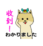 可愛いポメラニアン犬プリン-日常生活（個別スタンプ：16）