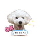 あさひなたのコミュニケーションスタンプ（個別スタンプ：3）