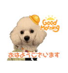 あさひなたのコミュニケーションスタンプ（個別スタンプ：5）