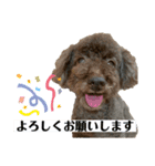 あさひなたのコミュニケーションスタンプ（個別スタンプ：6）