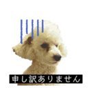 あさひなたのコミュニケーションスタンプ（個別スタンプ：7）