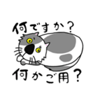 【再改訂版】かわいい猫 テンのスタンプ①（個別スタンプ：15）