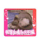 かわいくてえらいうさぎ（個別スタンプ：22）