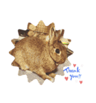 かわいくてえらいうさぎ（個別スタンプ：24）