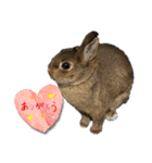 かわいくてえらいうさぎ（個別スタンプ：32）